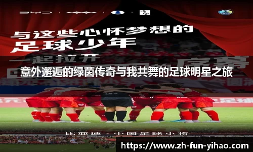 意外邂逅的绿茵传奇与我共舞的足球明星之旅